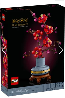 1000035677 plum Lego